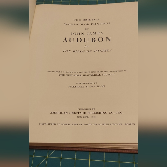 MANTLED SOOTY ALBATROSS,  GREAT AUK. John James Audubon - Picture 3 of 4